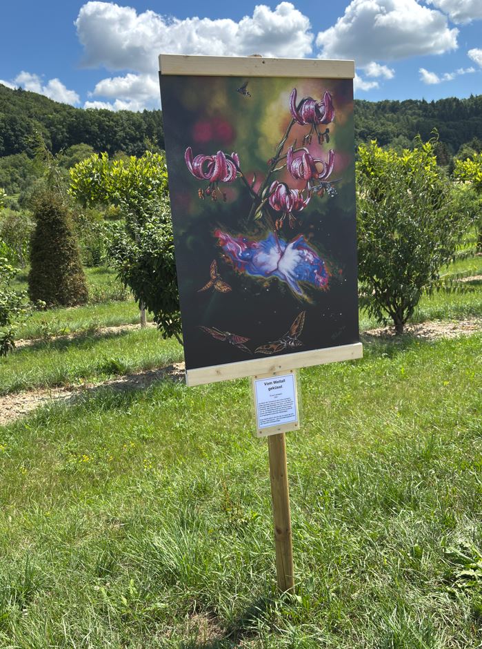 Naturwelten 2025